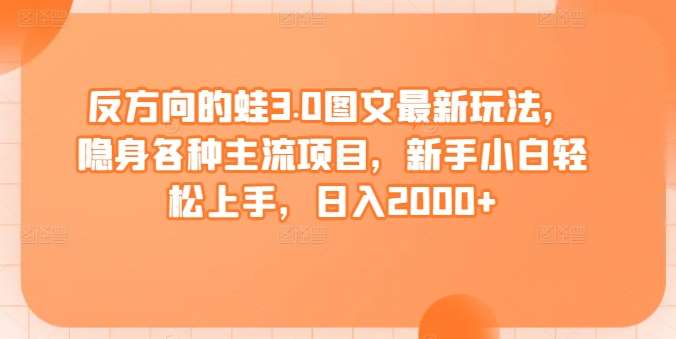 反方向的蛙3.0图文最新玩法，隐身各种主流项目，新手小白轻松上手，日入2000+【揭秘】-讯领网创