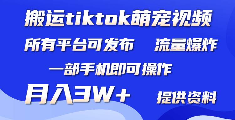 搬运Tiktok萌宠类视频，一部手机即可。所有短视频平台均可操作，月入3W+-讯领网创