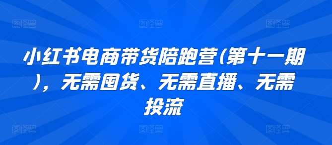 小红书电商带货陪跑营(第十一期)，无需囤货、无需直播、无需投流-讯领网创