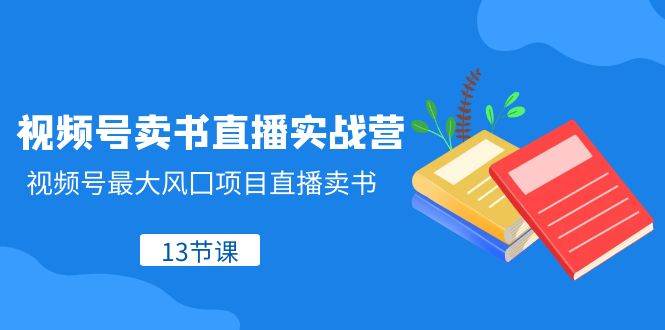 视频号-卖书直播实战营，视频号最大风囗项目直播卖书（13节课）-讯领网创