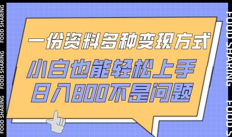 一份资料多种变现方式，小白也能轻松上手，日入800不是问题【揭秘】-讯领网创