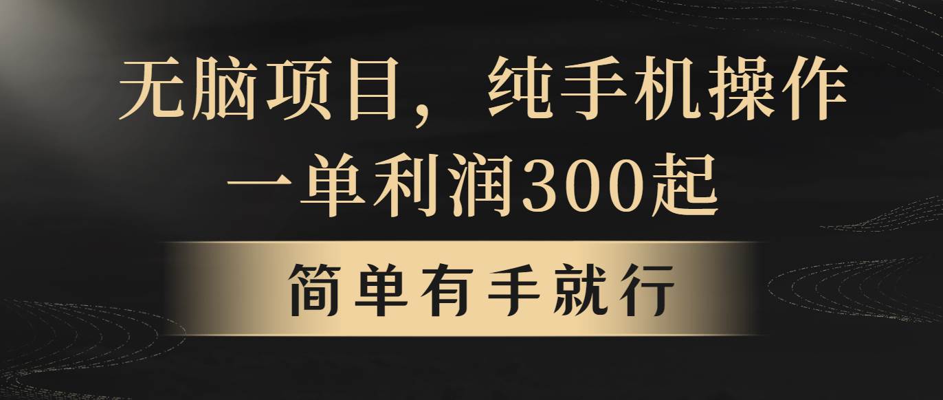 （10699期）无脑项目，一单几百块，轻松月入5w+，看完就能直接操作-讯领网创