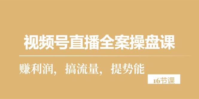 （10207期）视频号直播全案操盘课，赚利润，搞流量，提势能（16节课）-讯领网创