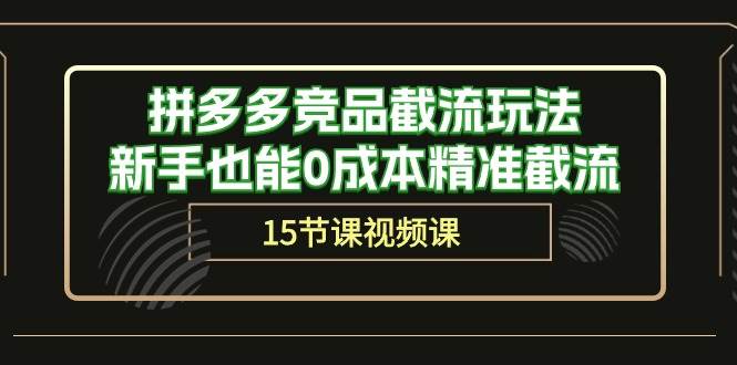 （10301期）拼多多竞品截流玩法，新手也能0成本精准截流（15节课）-讯领网创