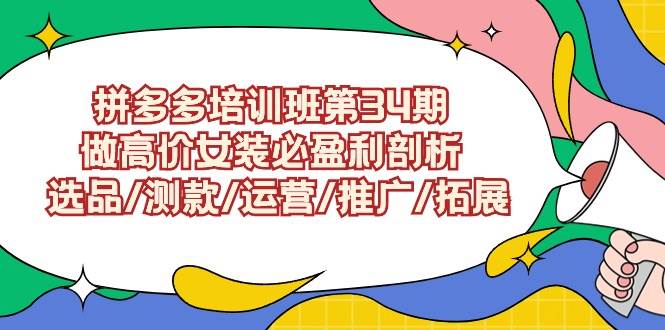 拼多多培训班第34期：做高价女装必盈利剖析  选品/测款/运营/推广/拓展-讯领网创