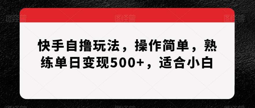 快手自撸玩法，操作简单，熟练单日变现500+，适合小白【揭秘】-讯领网创