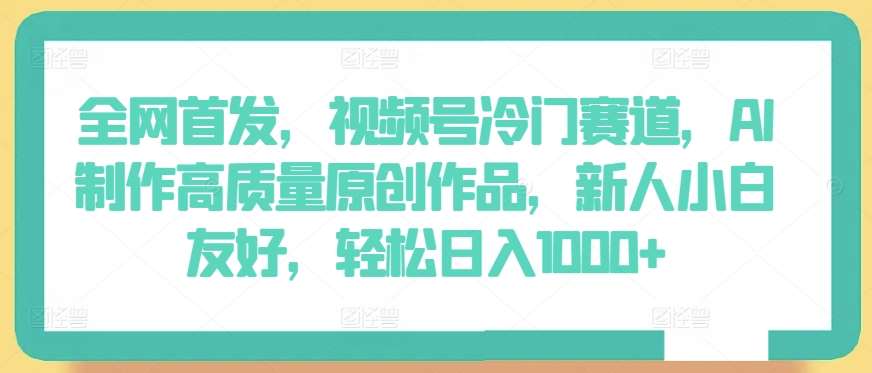 全网首发，视频号冷门赛道，AI制作高质量原创作品，新人小白友好，轻松日入1000+【揭秘】-讯领网创