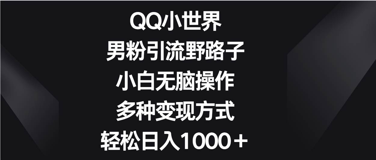 QQ小世界男粉引流野路子，小白无脑操作，多种变现方式轻松日入1000＋-讯领网创