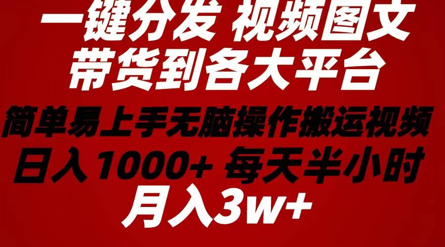 （10667期）2024年 一键分发带货图文视频  简单易上手 无脑赚收益 每天半小时日入1…-讯领网创