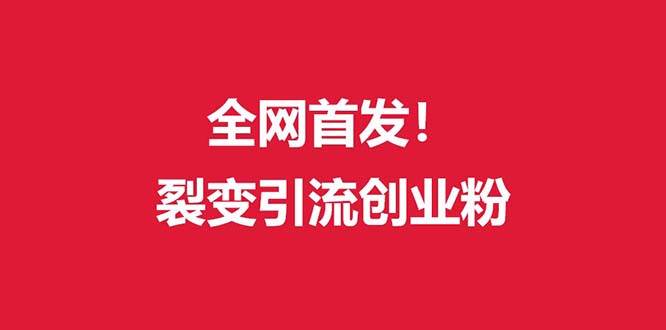 （9061期）（全网首发）外面收费几千的裂变引流高质量创业粉-讯领网创