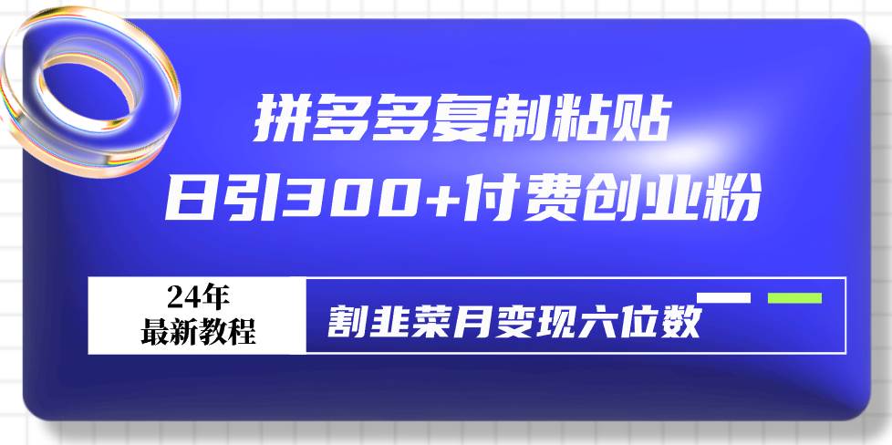 （9129期）拼多多复制粘贴日引300+付费创业粉，割韭菜月变现六位数最新教程！-讯领网创