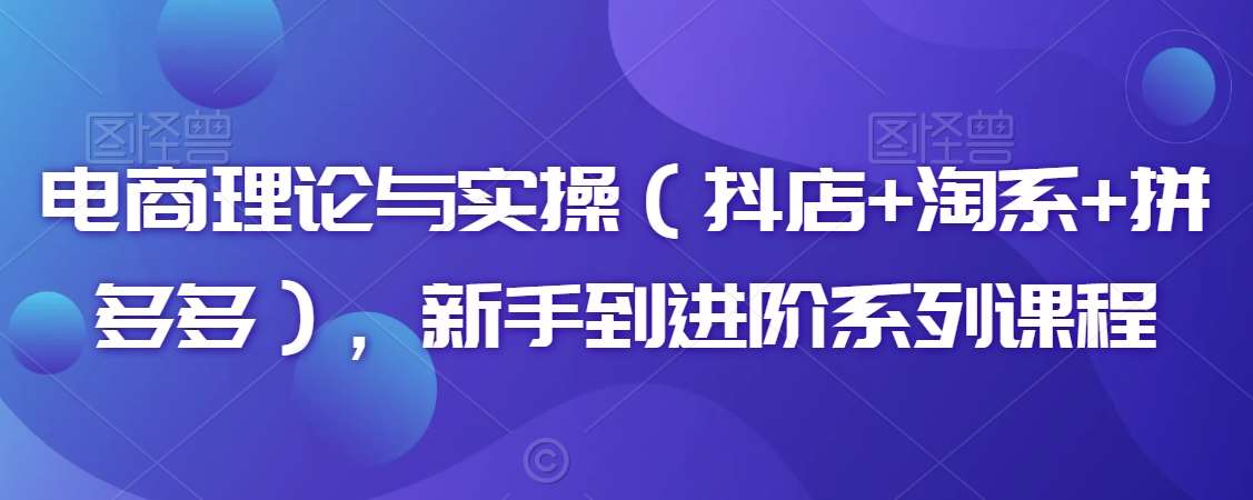 电商理论与实操（抖店+淘系+拼多多），新手到进阶系列课程-讯领网创