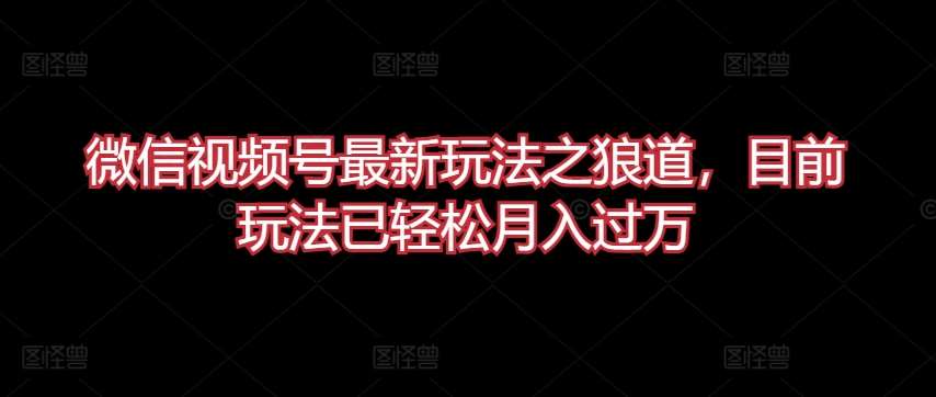 微信视频号最新玩法之狼道，目前玩法已轻松月入过万【揭秘】-讯领网创