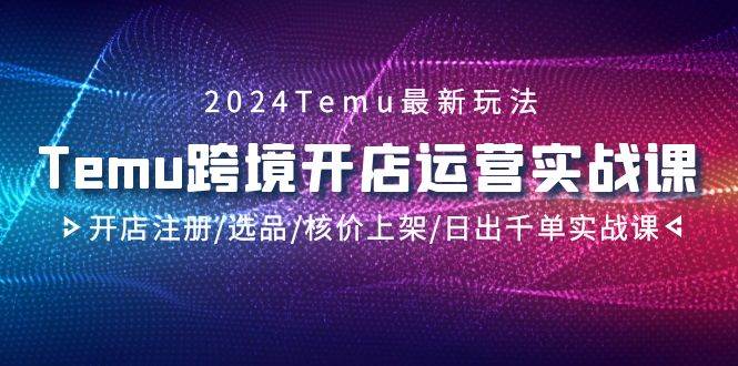 （9208期）2024Temu跨境开店运营实战课，开店注册/选品/核价上架/日出千单实战课-讯领网创