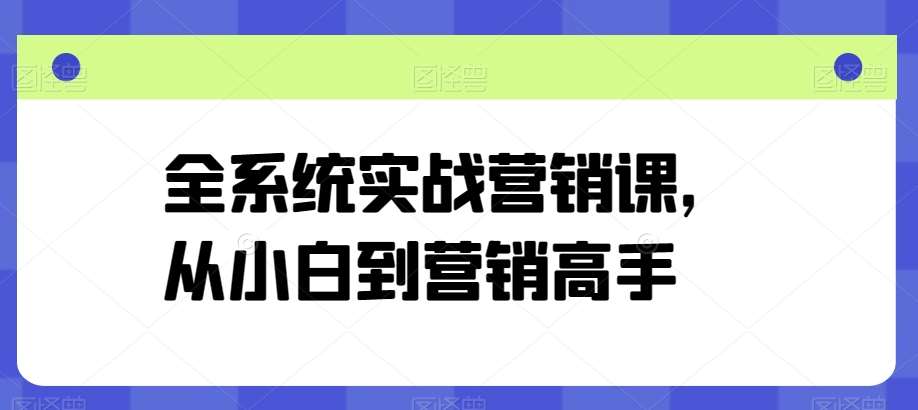 全系统实战营销课，从小白到营销高手-讯领网创