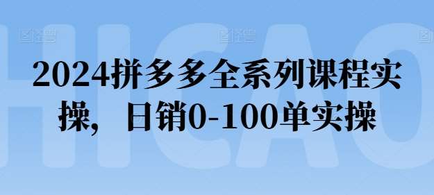 2024拼多多全系列课程实操，日销0-100单实操【必看】-讯领网创