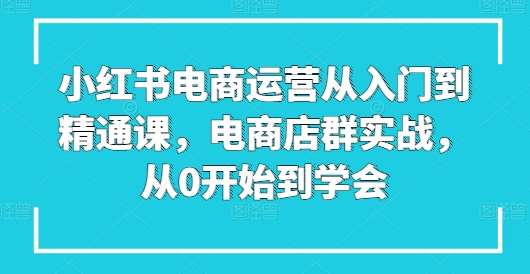 小红书电商运营从入门到精通课，电商店群实战，从0开始到学会-讯领网创