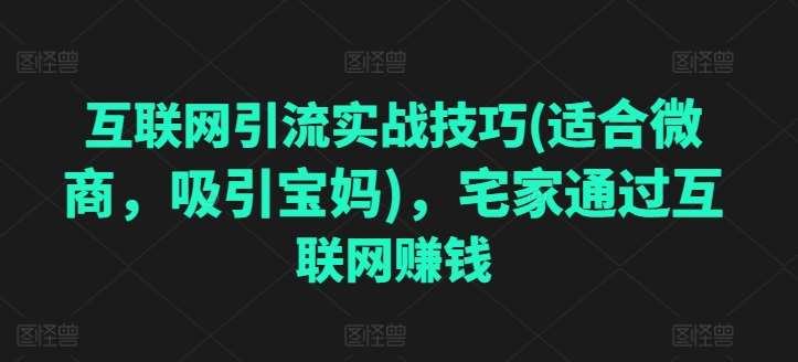 互联网引流实战技巧(适合微商，吸引宝妈)，宅家通过互联网赚钱-讯领网创