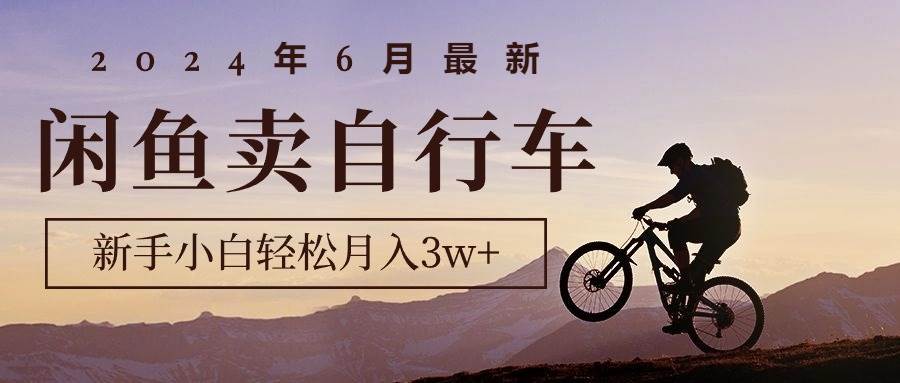 （10915期）2024年6月最新闲鱼卖自行车，新手小白轻松月入3w+项目-讯领网创