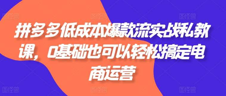 拼多多低成本爆款流实战私教课，0基础也可以轻松搞定电商运营-讯领网创