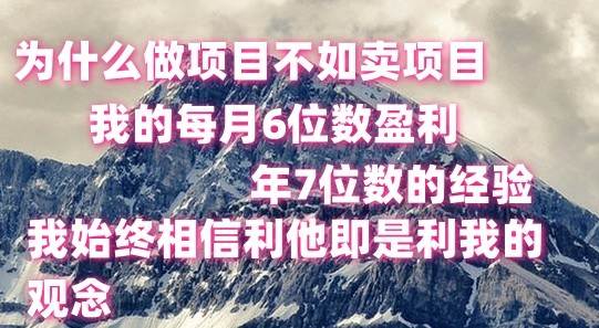 做项目不如卖项目，每月6位数盈利，年7位数经验-讯领网创