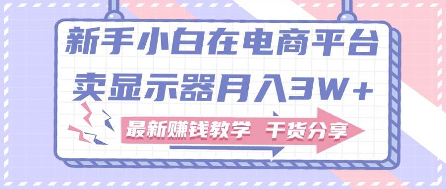 （11053期）新手小白如何做到在电商平台卖显示器月入3W+，最新赚钱教学干货分享-讯领网创