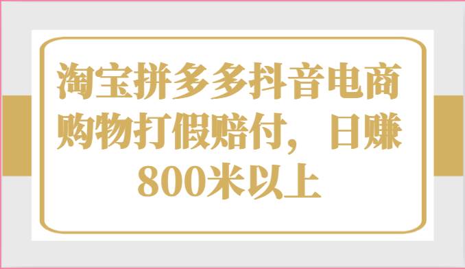 淘宝拼多多抖音电商购物打假赔付，日赚800米以上-讯领网创