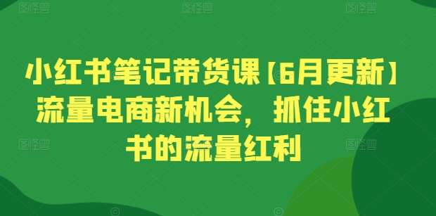 小红书笔记带货课【6月更新】流量电商新机会，抓住小红书的流量红利-讯领网创