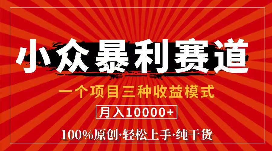 （11695期）视频号【中老年粉深信不疑】小众赛道 100%原创 手把手教学 新号3天收益…-讯领网创