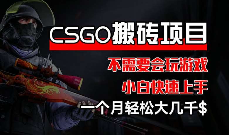 CSGO 装备搬砖项目，操作简单，不需要会玩游戏，小白也能快速上手，一个月轻松大几千【揭秘】-讯领网创