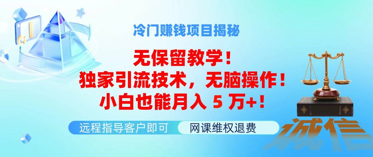 （11864期）冷门赚钱项目无保留教学！独家引流技术，无脑操作！小白也能月入5万+！-讯领网创