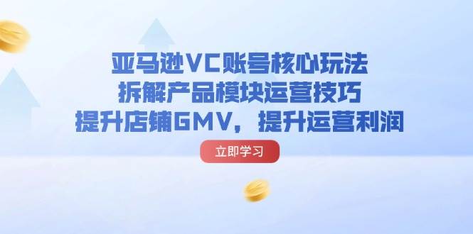 （11848期）亚马逊VC账号核心玩法，拆解产品模块运营技巧，提升店铺GMV，提升运营利润-讯领网创