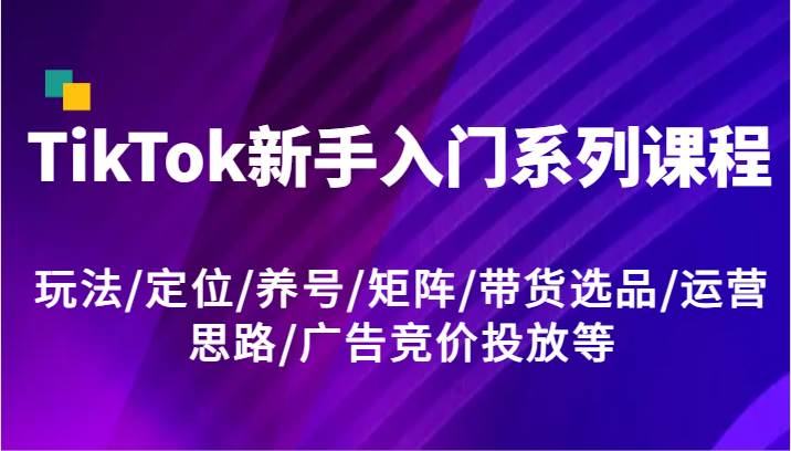 TikTok新手入门系列课程，玩法/定位/养号/矩阵/带货选品/运营思路/广告竞价投放等-讯领网创