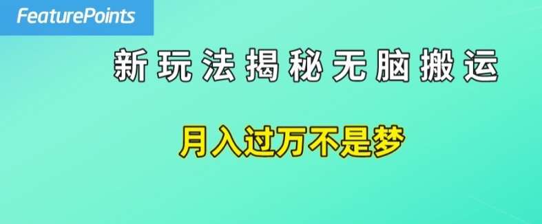 简单操作，每天50美元收入，搬运就是赚钱的秘诀【揭秘】-讯领网创