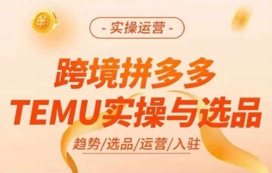 跨境拼多多TEMU实操与选品，多多temu跨境选品运营实操-讯领网创