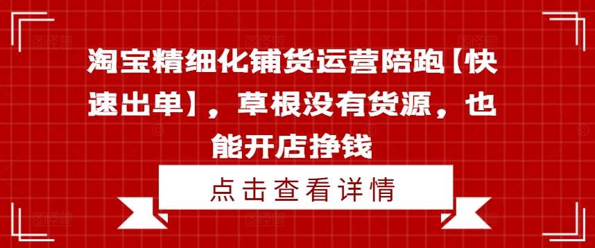 淘宝精细化铺货运营陪跑【快速出单】，草根没有货源，也能开店挣钱-讯领网创