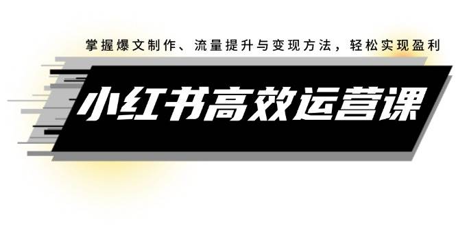 （12369期）小红书高效运营课：掌握爆文制作、流量提升与变现方法，轻松实现盈利-讯领网创