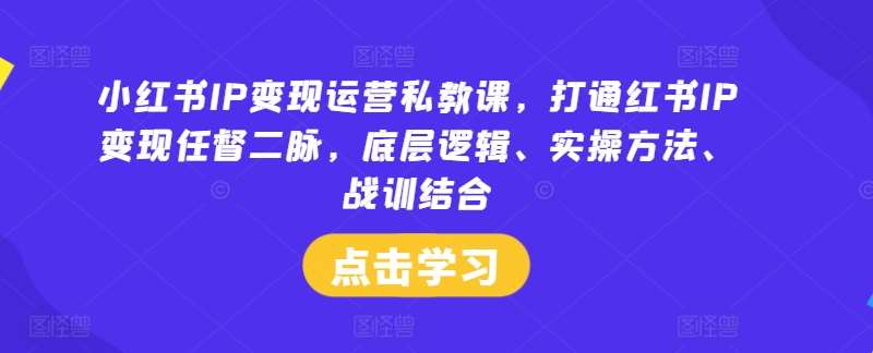 小红书IP变现运营私教课，打通红书IP变现任督二脉，底层逻辑、实操方法、战训结合-讯领网创