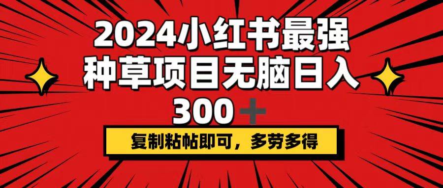 （12336期）2024小红书最强种草项目，无脑日入300+，复制粘帖即可，多劳多得-讯领网创