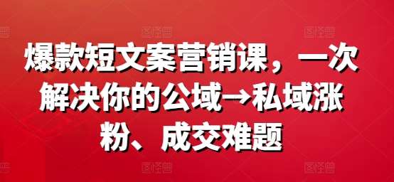 爆款短文案营销课，一次解决你的公域→私域涨粉、成交难题-讯领网创