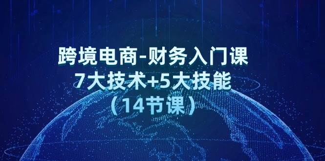 （12047期）跨境电商-财务入门课：7大技术+5大技能（14节课）-讯领网创