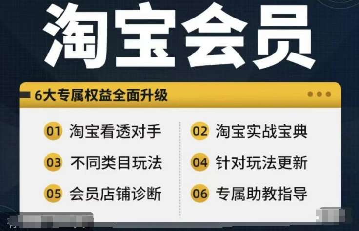 淘宝会员【淘宝所有课程，全面分析对手】，初级到高手全系实战宝典-讯领网创