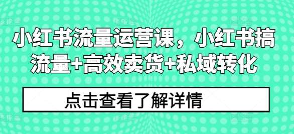 小红书流量运营课，小红书搞流量+高效卖货+私域转化-讯领网创