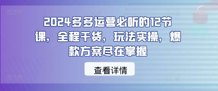 2024多多运营必听的12节课，全程干货，玩法实操，爆款方案尽在掌握-讯领网创