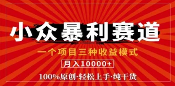 （12756期）视频号最新爆火赛道，三种可收益模式，0粉新号条条原创条条热门 日入1000+-讯领网创