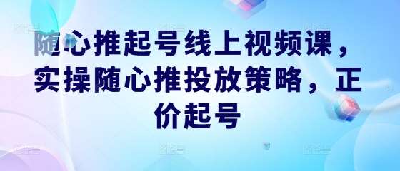 随心推起号线上视频课，实操随心推投放策略，正价起号-讯领网创