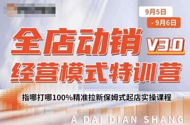 全店动销经营模式特训营，指哪打哪100%精准拉新保姆式起店实操课程-讯领网创