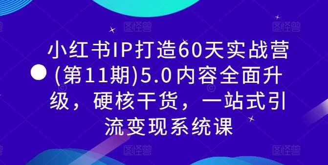 小红书IP打造60天实战营(第11期)5.0​内容全面升级，硬核干货，一站式引流变现系统课-讯领网创