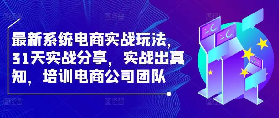 最新系统电商实战玩法，31天实战分享，实战出真知，培训电商公司团队-讯领网创