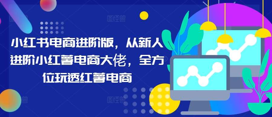 小红书电商进阶版，从新人进阶小红薯电商大佬，全方位玩透红薯电商-讯领网创